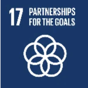SDG 17 Partnership for the Goals - AppyMaps