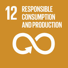 SDG 12 Responsible Consumption and Production - AppyMaps SDG 12 Responsible Consumption and Production - AppyMaps